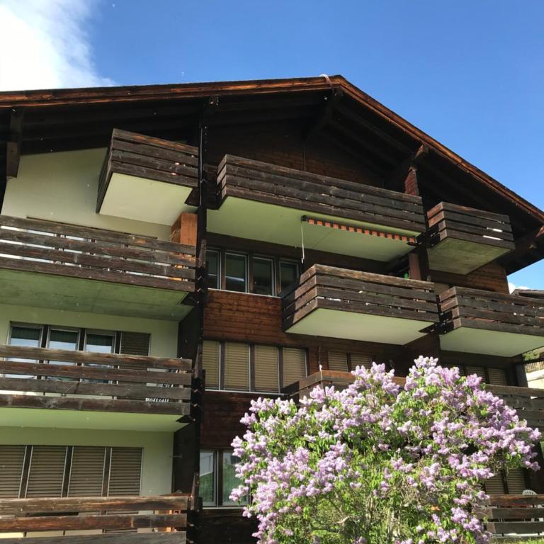 Haus Opal Wohnung Nr. 31 - Appartement avec Vue sur la Montagne - 36