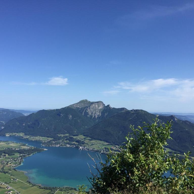 Schönes Wohnen am Sonnenhang - Ferienhaus - 20