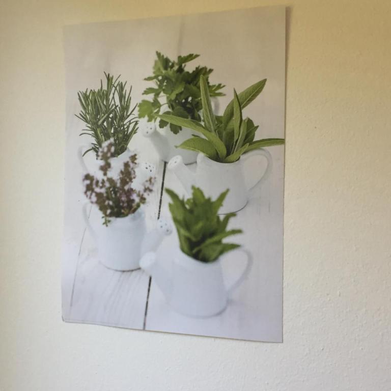 Schönes Wohnen am Sonnenhang - Ferienhaus - 32