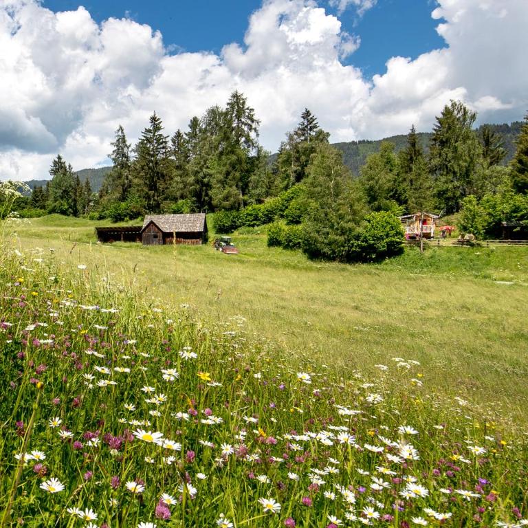 Fasslhütte - Chalet - 14