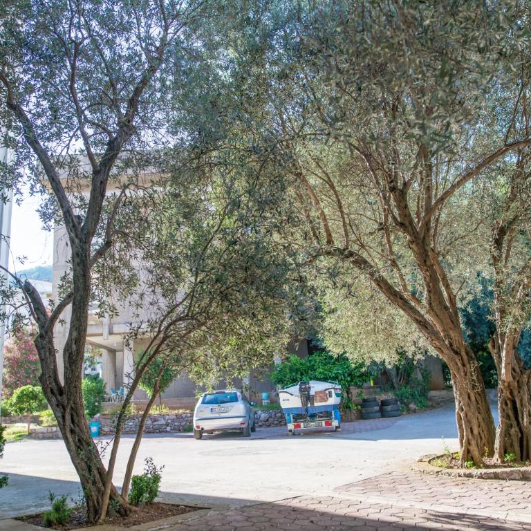 Apartman Zenta - Two-Bedroom Apartment - 4