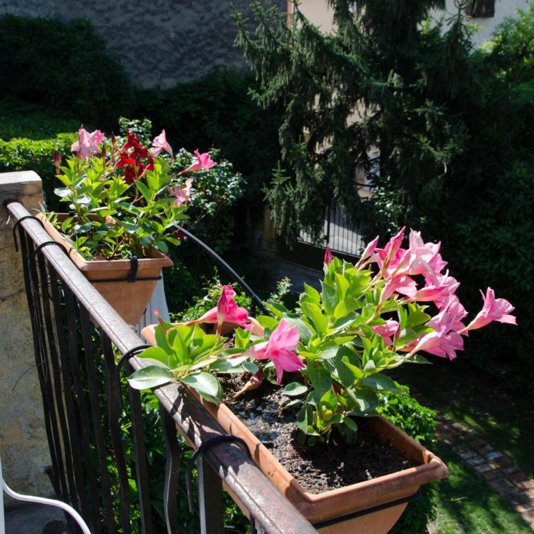 Les Tournesols - Chambre Double - Vue sur Jardin - 3