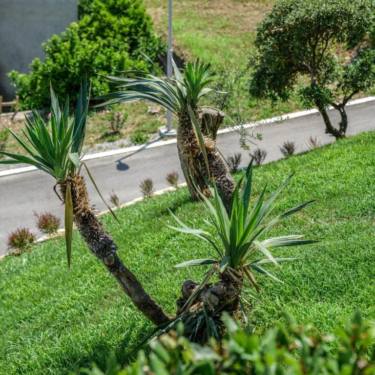 Apartments Bazar - Komfor Apartman s 2 Spavaće Sobe i Balkonom - 1