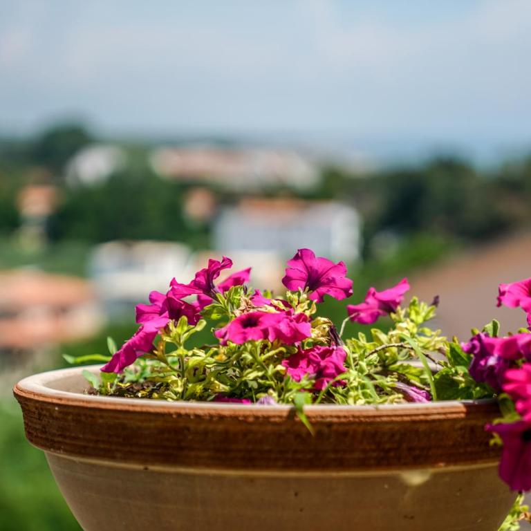 Apartments Bazar - Komfor Apartman s 2 Spavaće Sobe i Balkonom - 2