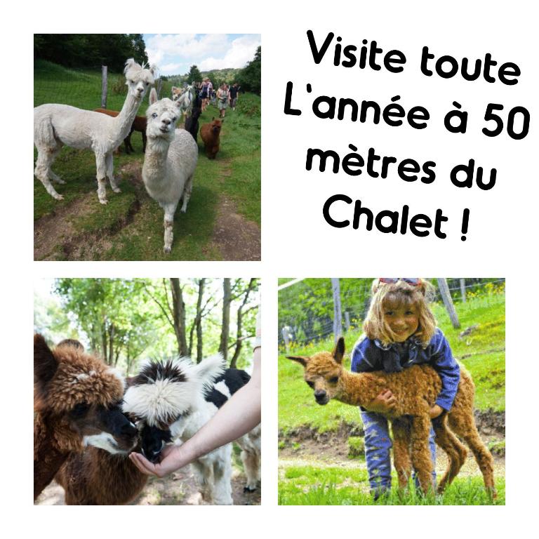 Chalet Le Vintage - Three-Bedroom Chalet - 29