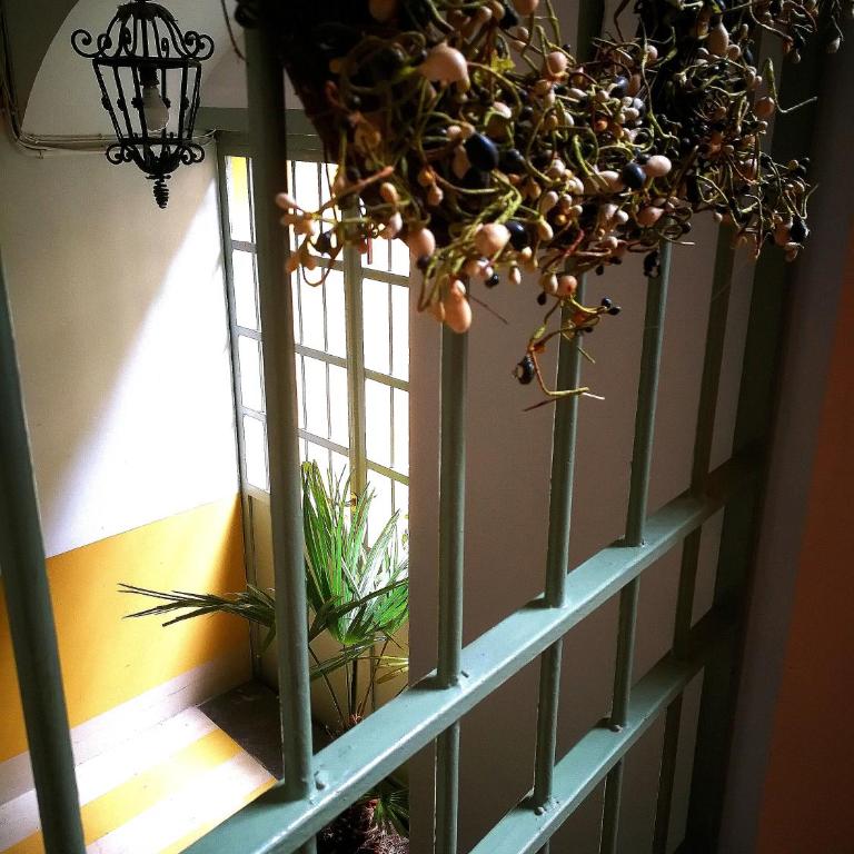 Corte delle Camelie Bed and Breakfast - Double Room with Private Bathroom - 25