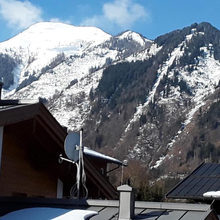 Appartement Moni XXL 55m2 - Apartment - 33