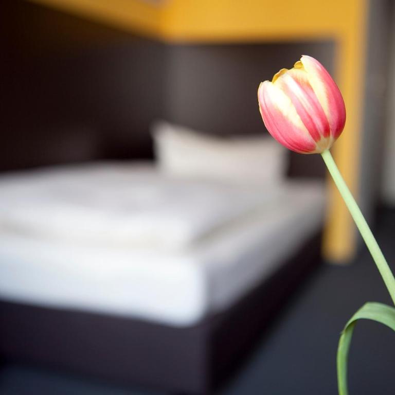 GS Hotel Mindelheim - Einzelzimmer mit Bad - 7