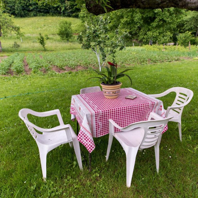 Eko House Dobrenica - Vacation Home - 21