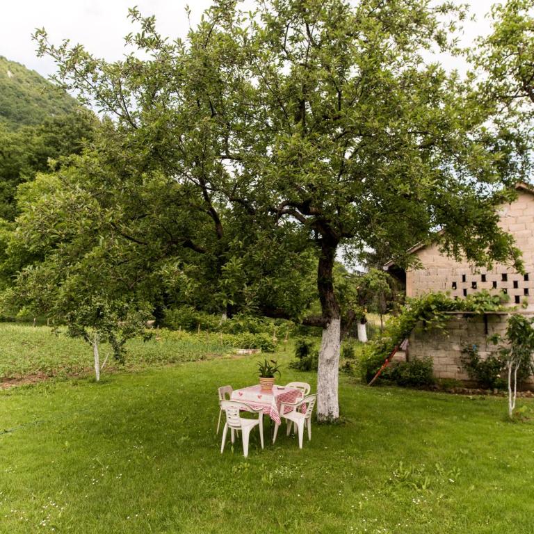 Eko House Dobrenica - Vacation Home - 23