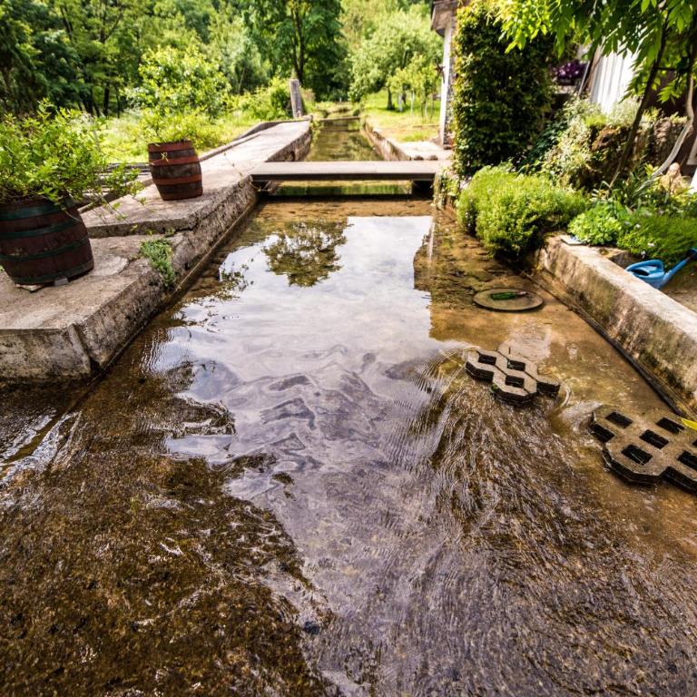 Eko House Dobrenica - Vacation Home - 30