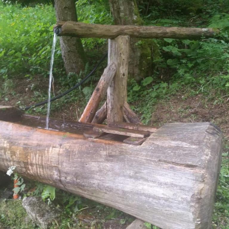 il bosco in casa - Appartamento - 36