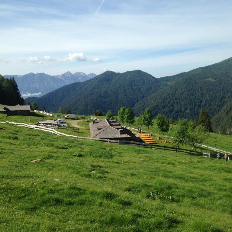 il bosco in casa - Appartamento - 21