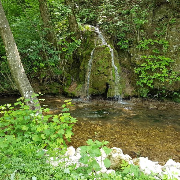 Eko House Dobrenica - Vacation Home - 2