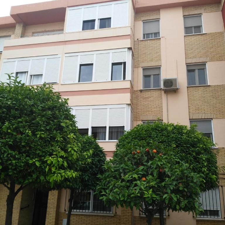El piso de Ursula - Apartamento de 2 dormitorios - 31