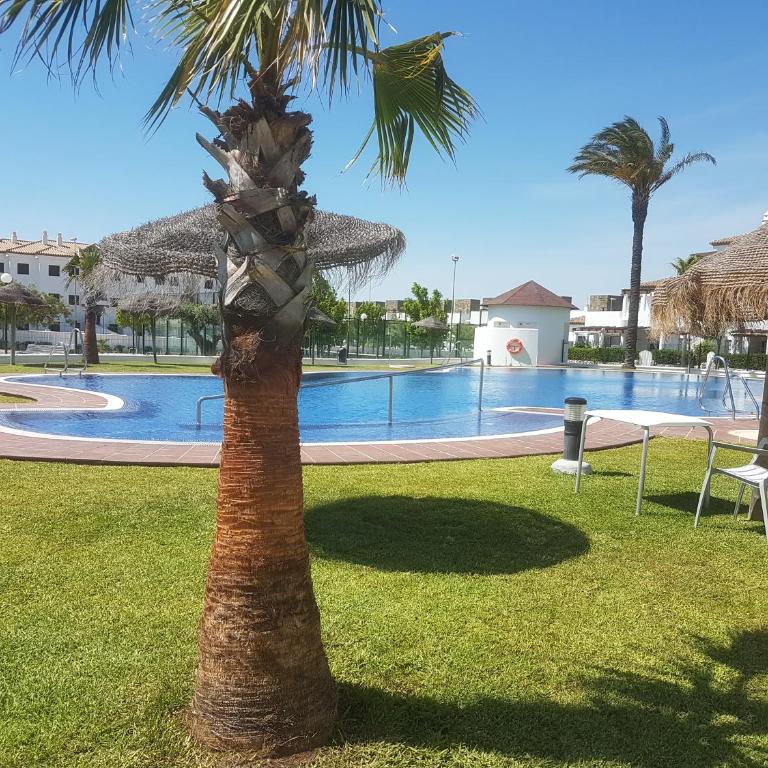 Taymar - Apartamento - Planta baja - 3