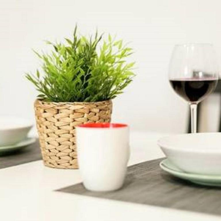 Family apartment Patio&Swimming pool in center Malaga - Apartment - 30