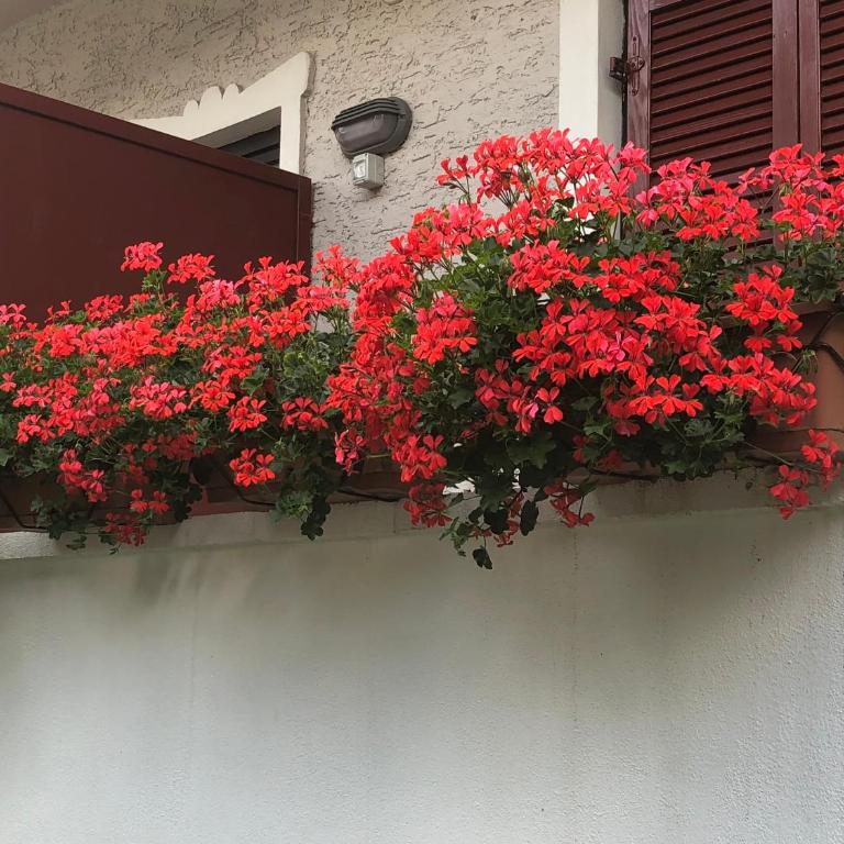 Garni Villa Betty - Camera Quadrupla - 4