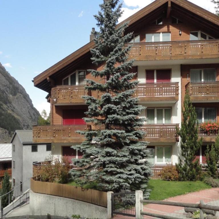 Haus Colmar - Appartement 1 Chambre - 3