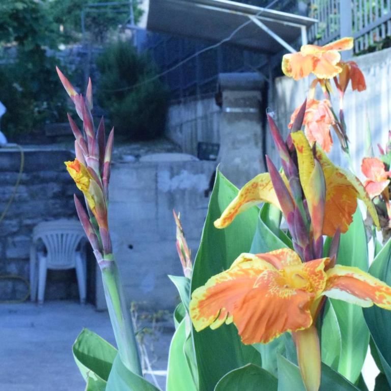 Apartment S&M - Apartman sa Pogledom na Vrt - 25