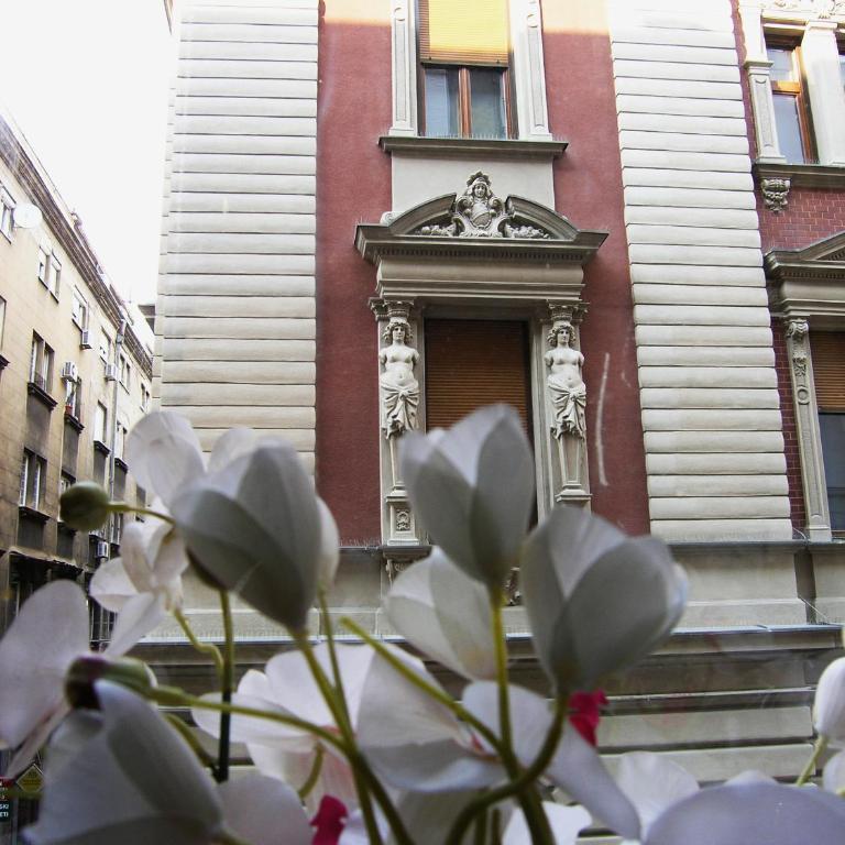 Apartment Danijela-City Centar - Apartman - 1