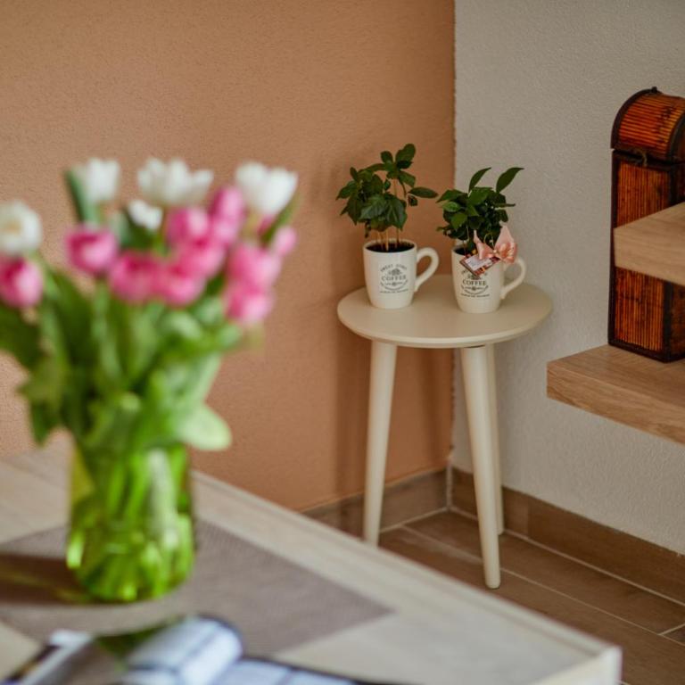 Passage Apartments - Apartman sa Balkonom - 2