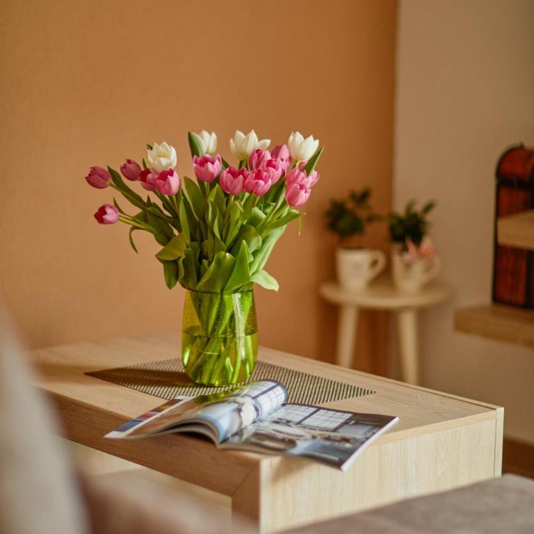 Passage Apartments - Apartment with Balcony - 3