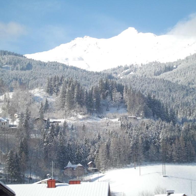 Haus Marina inklusive gratis Eintritt Alpentherme - Apartamento de 1 dormitorio - 13