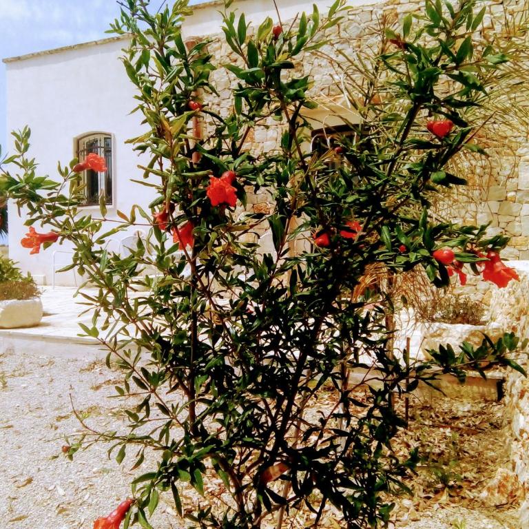 Casale Conte Dell'Anna - Villa - 15