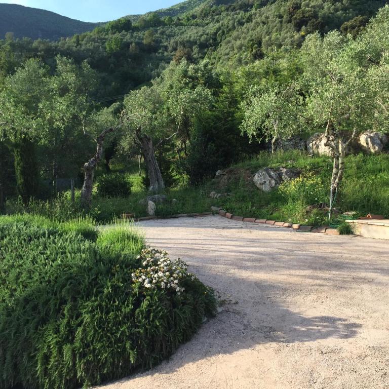 Valuable rustic Tuscan swimming pool, breathtaking view of Camaiore - Villa - 9