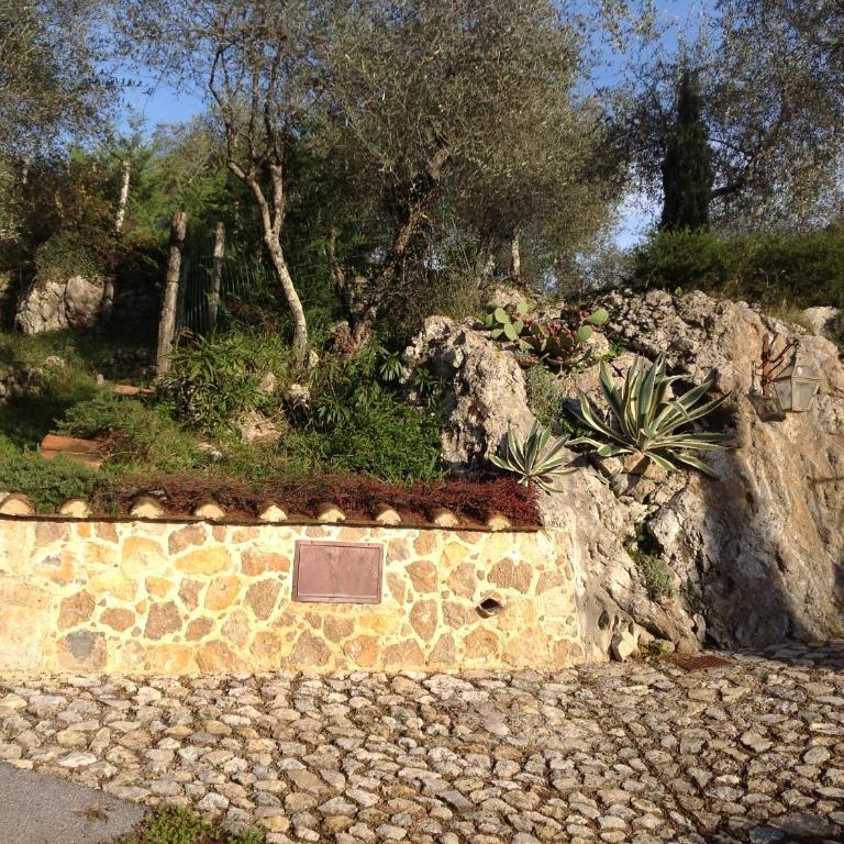 Valuable rustic Tuscan swimming pool, breathtaking view of Camaiore - Villa - 6