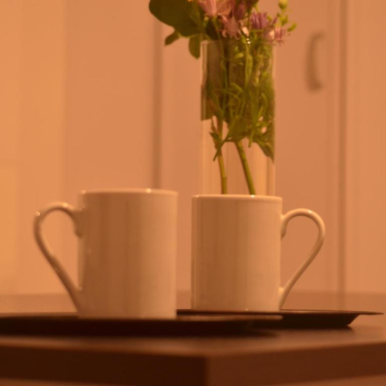 Remy apartment - Appartamento Monolocale - 16