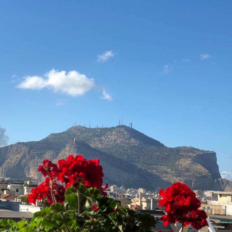 Palermo Centro al Massimo Apartment - Appartamento - 28