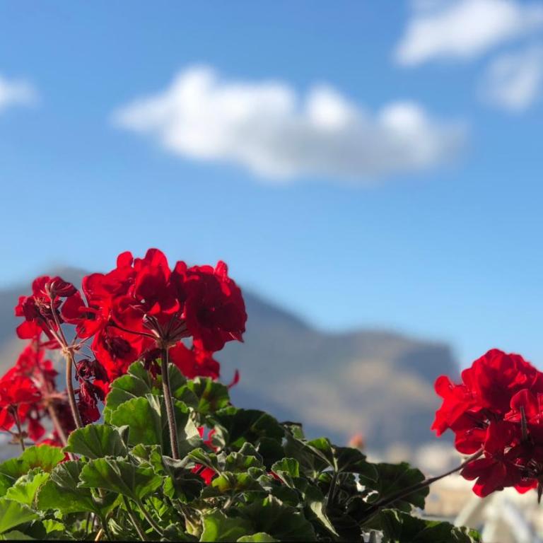 Palermo Centro al Massimo Apartment - Appartamento - 10
