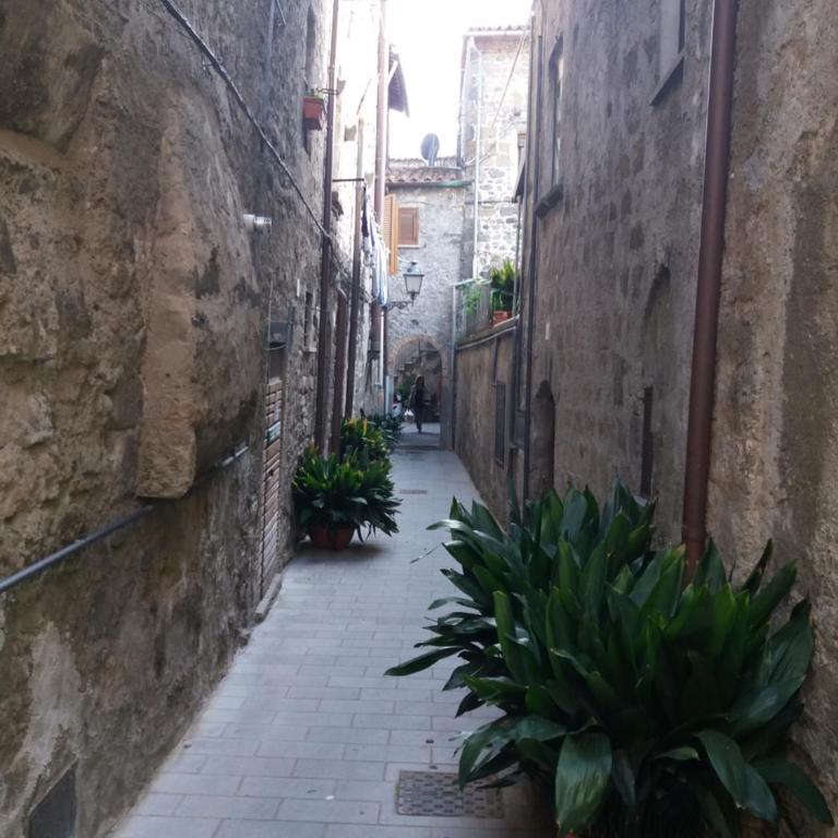 La Piazzetta - Appartamento - 4