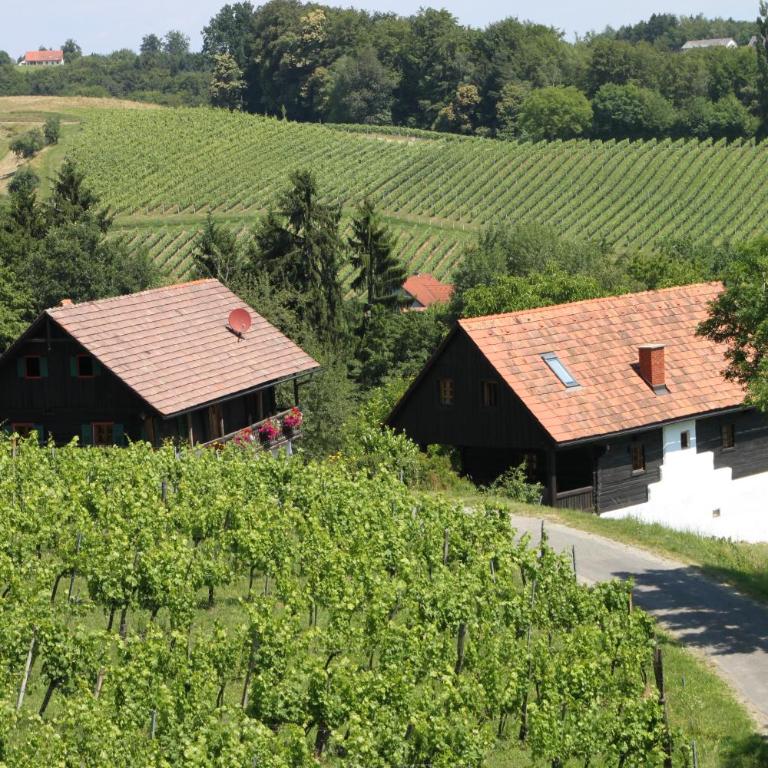 Weingut-Gästezimmer Pongratz - Camera Matrimoniale - 2