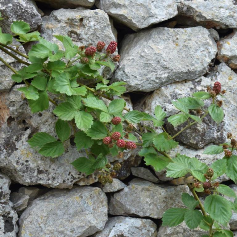 Dimora Le Zagare - Appartamento - 69