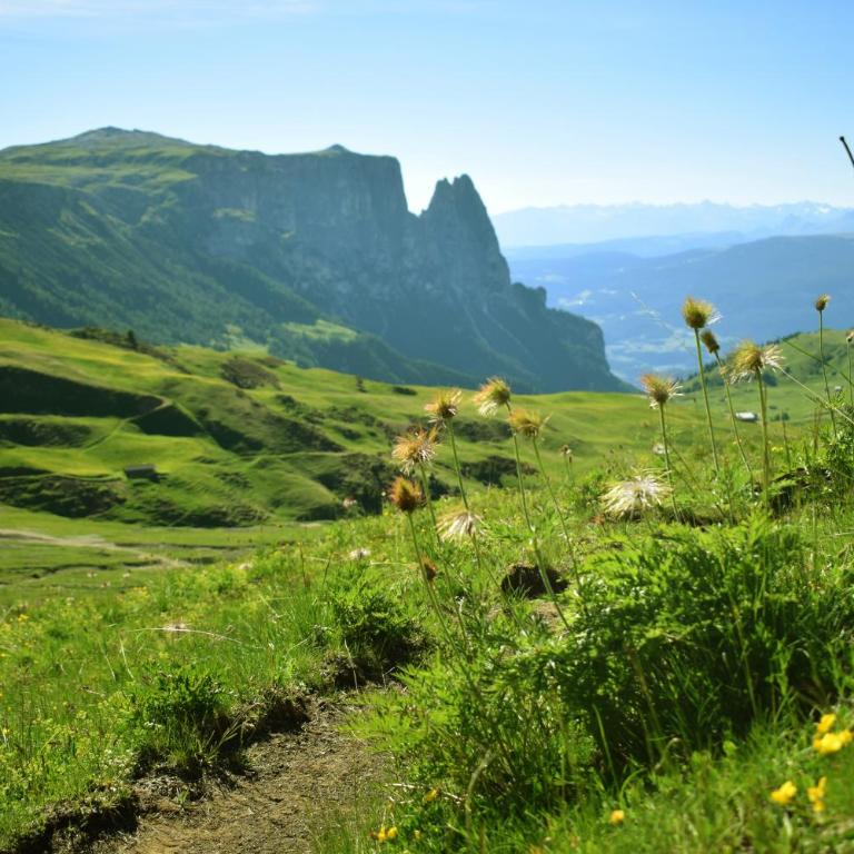 Schlossblick - Appartamento con Vista Montagna - 19