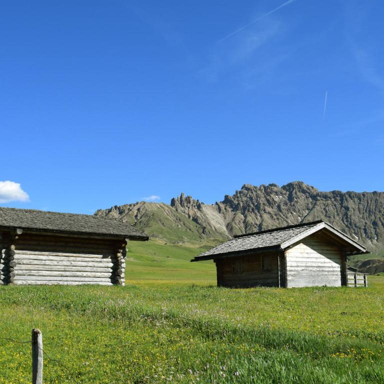 Schlossblick - Appartamento con Vista Montagna - 20
