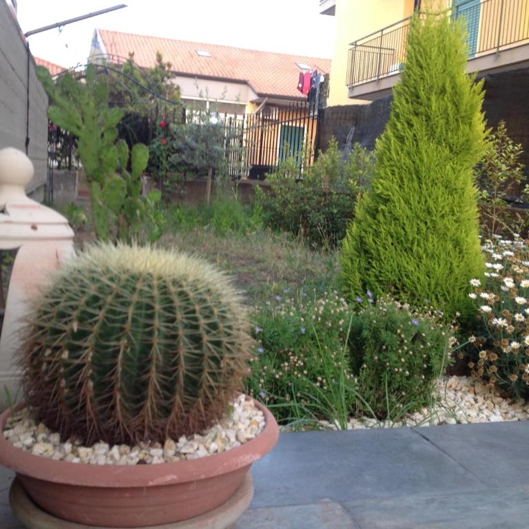 Casa Riolo - Appartamento con 2 Camere da Letto e Terrazza - 9