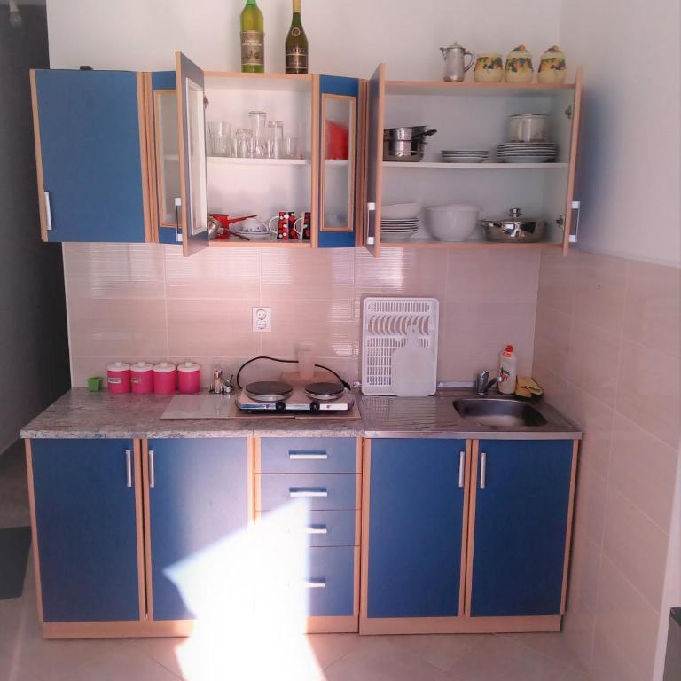 Apartments Vila Dusan - Apartman - Prizemlje - 4