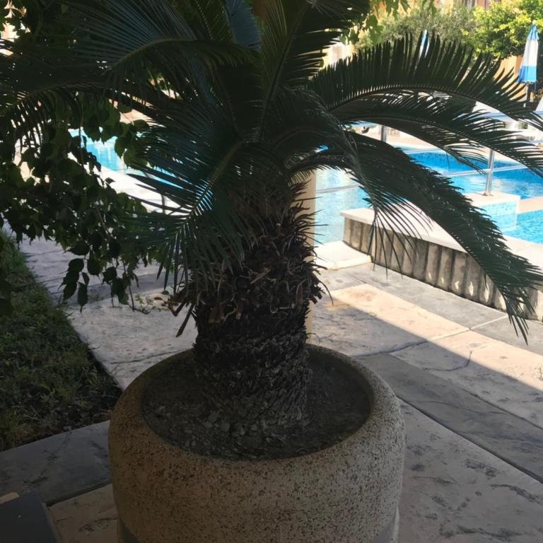 Vila Laguna - Standardni Apartman - 21