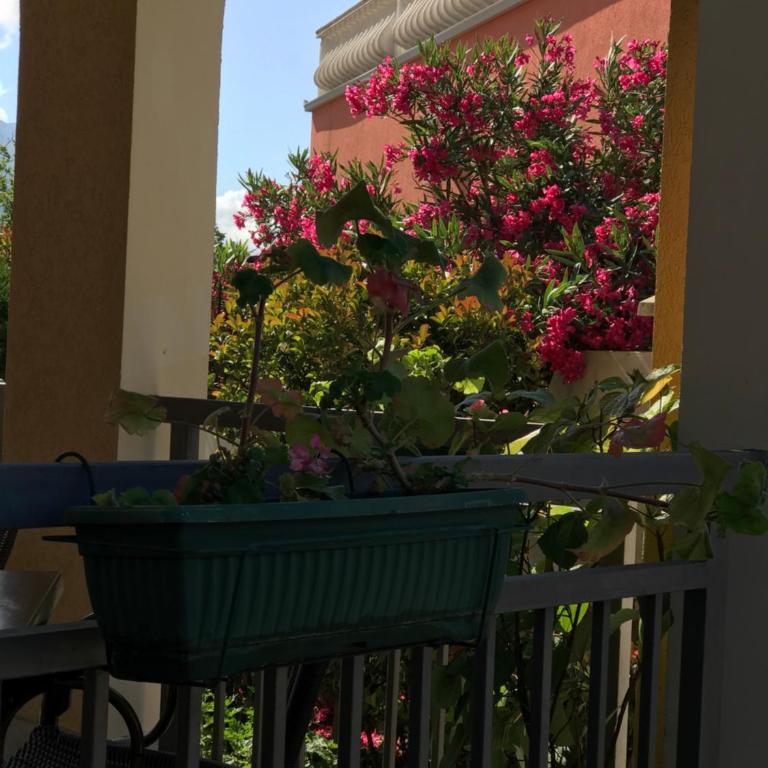 Vila Laguna - Standardni Apartman - 18