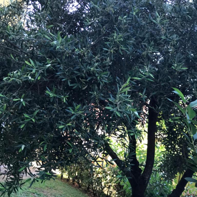 Vila Laguna - Standardni Apartman - 17