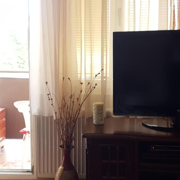 Apartman Glomazic - Apartman - 21