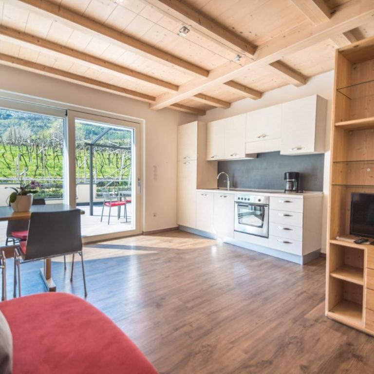 Ferienwohnungen Gatscher - Apartment mit Terrasse - 5