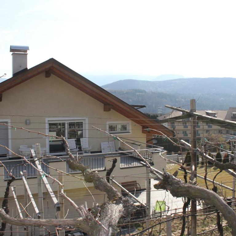 Ferienwohnungen Gatscher - Apartment mit Terrasse - 2