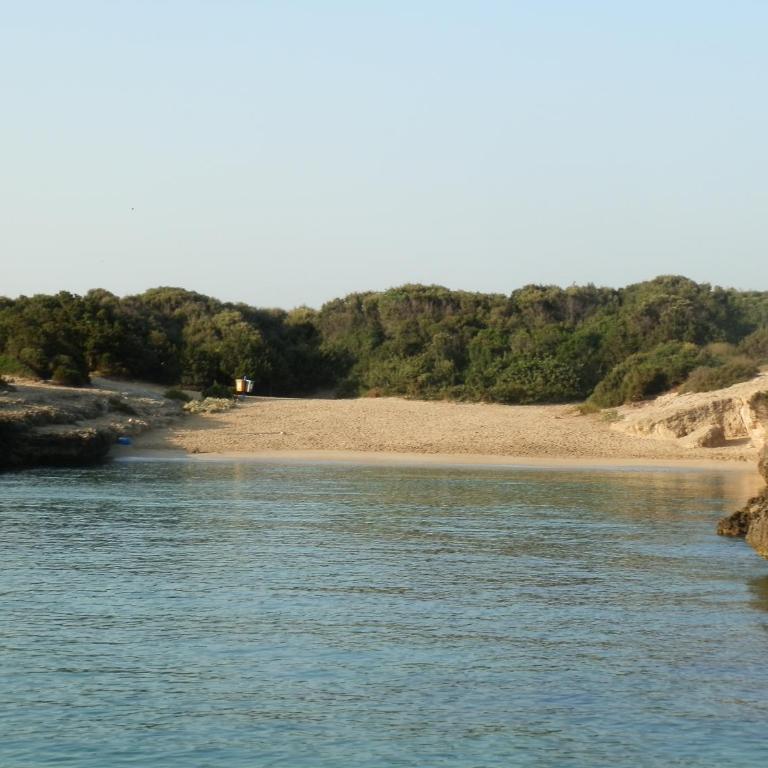 Il Fico d'India dell'Antico orto - Casa Vacanze - 11