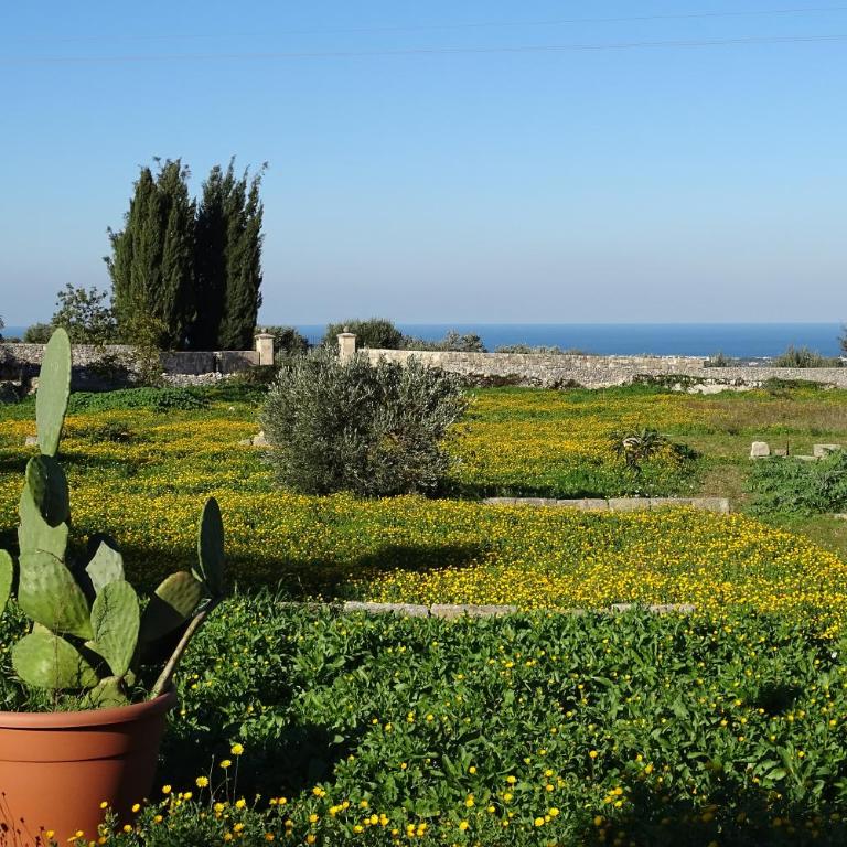 Il Fico d'India dell'Antico orto - Casa Vacanze - 6