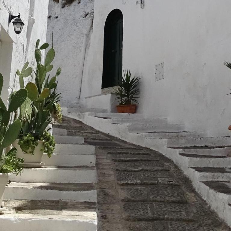 Il Fico d'India dell'Antico orto - Casa Vacanze - 8